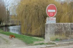 DANGU : Le seul point d'embarquement possible. Attention à pas embarquer une terrine dans le bateau !